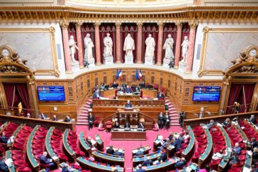 OMONDO SANTÉ - Le Sénat réduit le budget de l'Aide médicale d'État de 200 millions d'euros