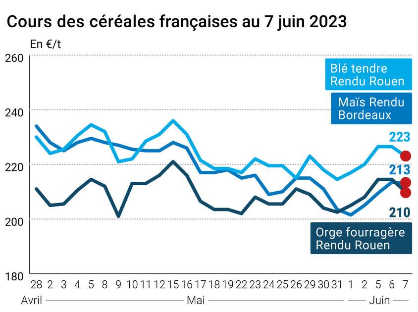 Omondo Economie-  Stagnation des prix des céréales sur les marchés mondiaux
