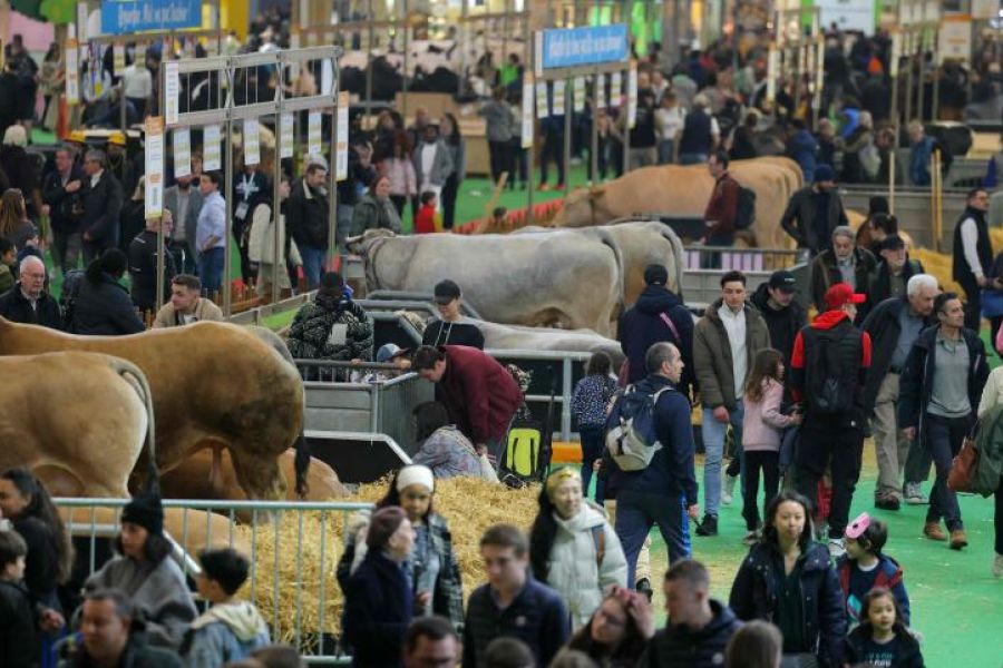 Salon de l'Agriculture 2026 : Le cri de détresse de la "Ferme France" et l'urgence de la souveraineté