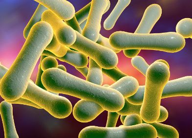 Nigéria : l’épidémie de dyphtérie se propage et inquiète