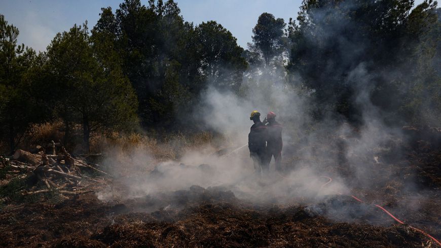 Incendie dans l’Aude : les viticulteurs réclament un fonds d’urgence après des pertes agricoles massives