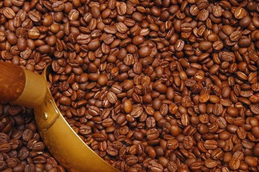 Le cours du cacao atteint son plus haut niveau à la bourse de new york