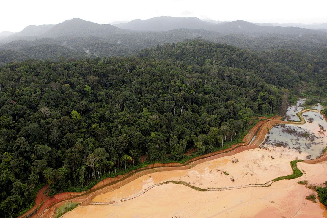 OMONDO ENVIRONNEMENT - Les défis de la biodiversité exceptionnelle de la Guyane française menacée par l'exploitation minière : Quelles solutions pour préserver ce trésor naturel ?