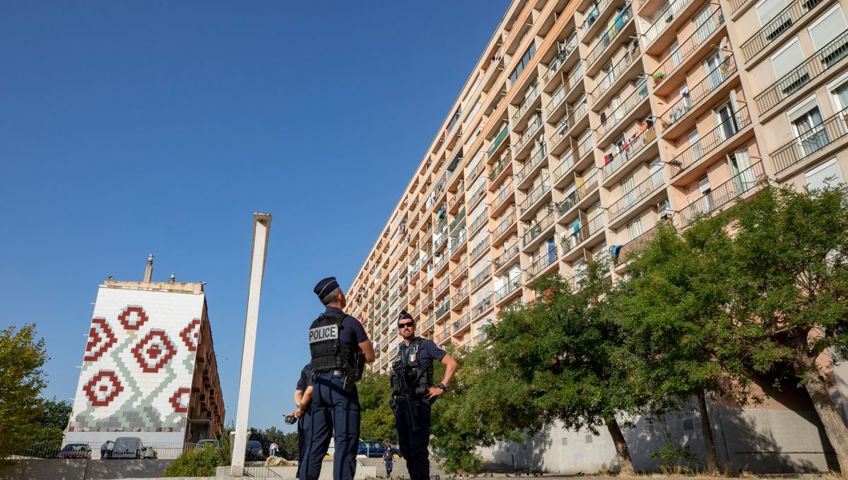 Marseille : coup de filet majeur dans le trafic de drogue à la cité Campagne-Lévêque