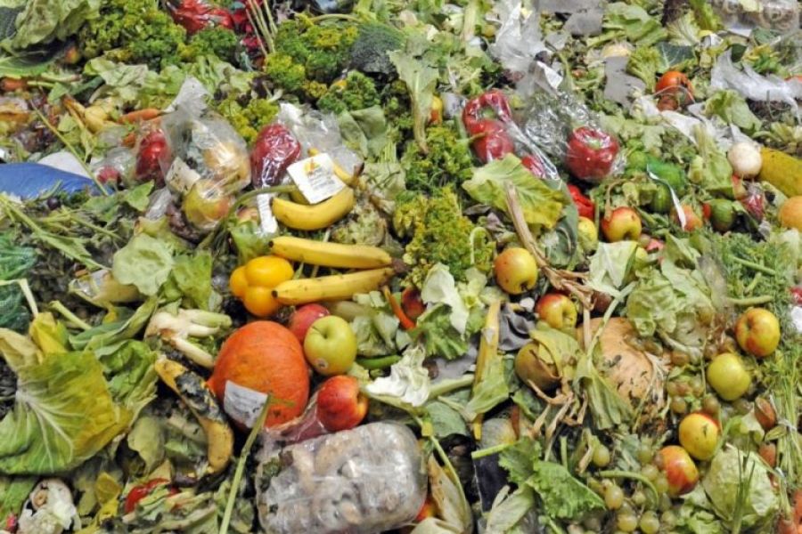 19% de la nourriture produite en 2022 a été gaspillée selon l'ONU