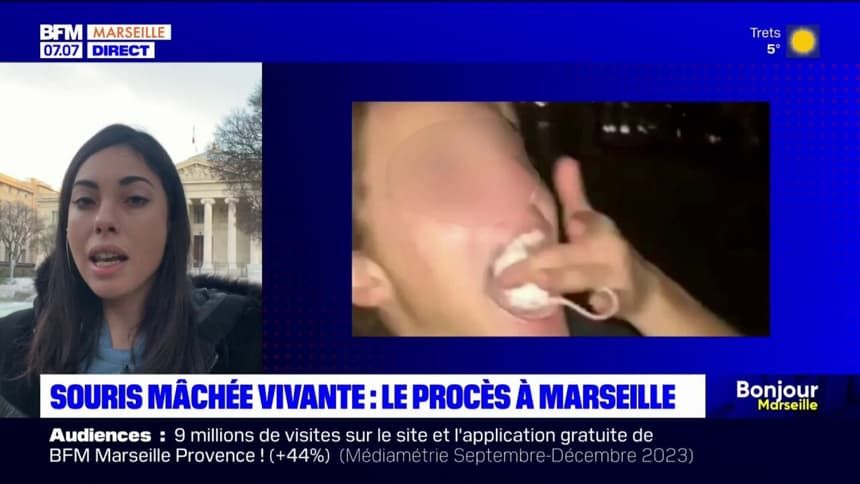 Marseille : l'étudiant qui avait mâché une souris vivante finalement condamné à une peine légère