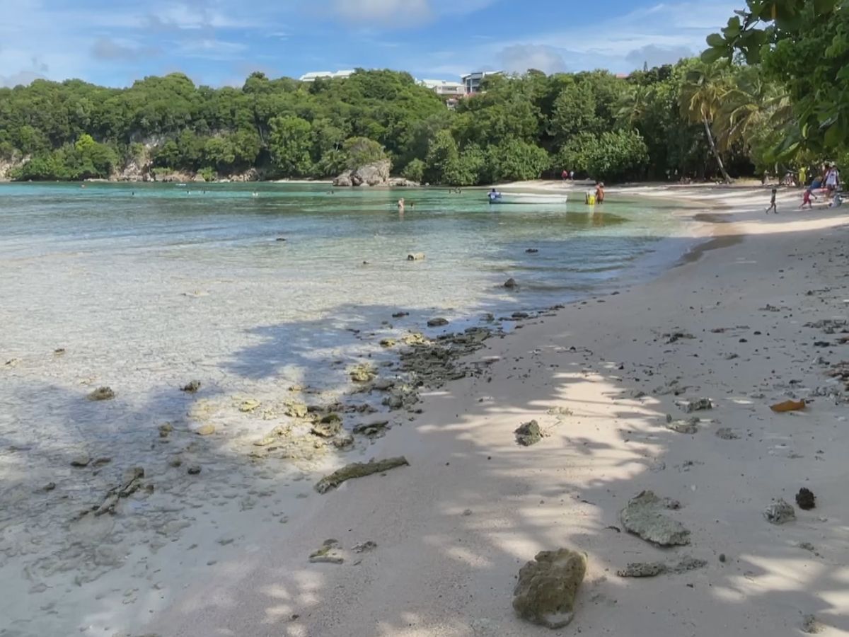 Guadeloupe : enquête ouverte après la découverte du corps d'une femme près d'une plage