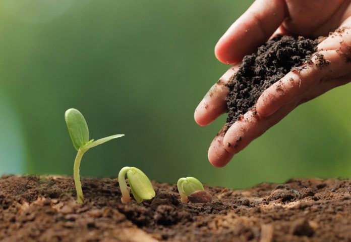Agriculture durable et transition écologique dans l'UE en 2026 : Négociations sur la PAC et la souveraineté alimentaire