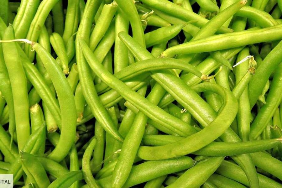 Haricots Verts Carrefour Rappelés : Un Morceau de Verre dans Votre Assiette, le Spectre de la Crise Sanitaire ?