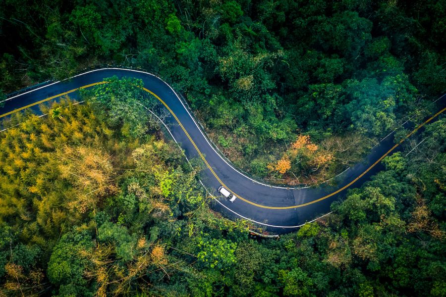 Les enjeux de la préservation de la biodiversité en Europe en 2025