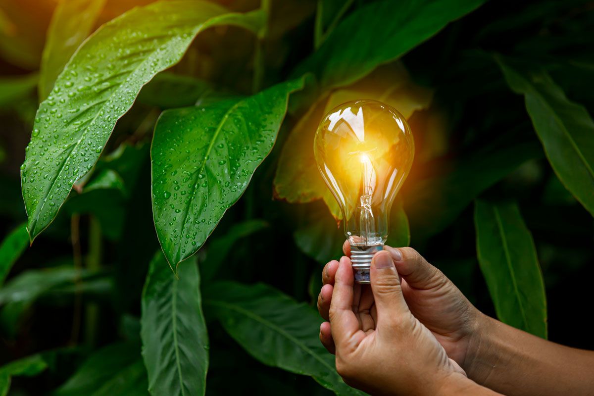 « Politiques climatiques et financement en 2025 : catalyseurs et obstacles de la transition énergétique mondiale »