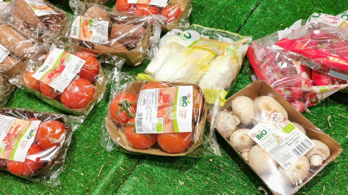 OMONDO LÉGISLATION - France : Le Conseil d'État annule le décret anti-plastique, un recul écologique ?