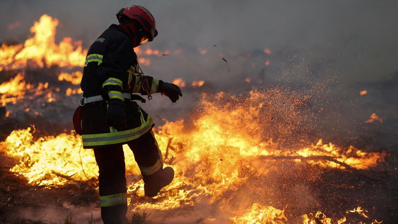 OMONDO.INFO — Grand Dossier d'Actualité : Le Coût du Feu — Incendies en France, Destructions des Écosystèmes et Conséquences Économiques Post-Sinistres