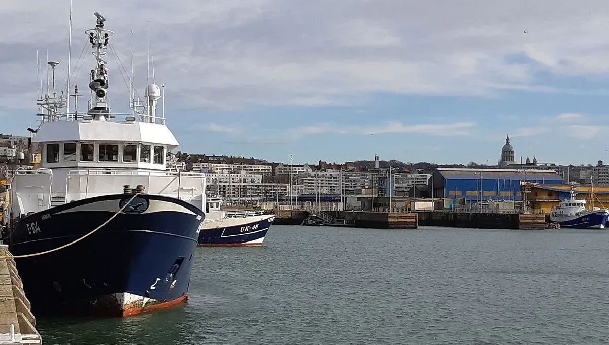 Crise de la Pêche : Pourquoi le quota de maquereau menace 1 300 navires français de Boulogne à Saint-Jean-de-Luz