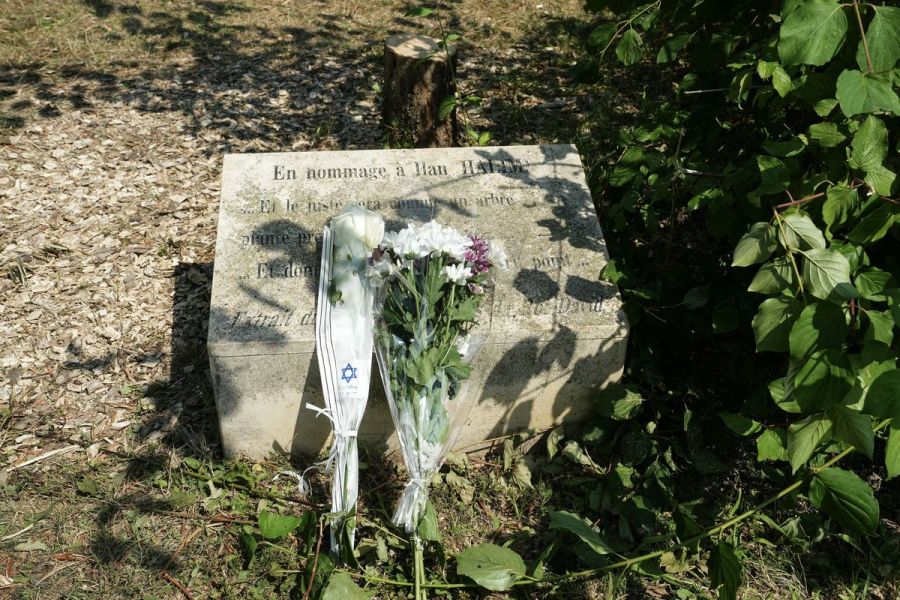 Deux hommes arrêtés après l’abattage d’un olivier en hommage à Ilan Halimi