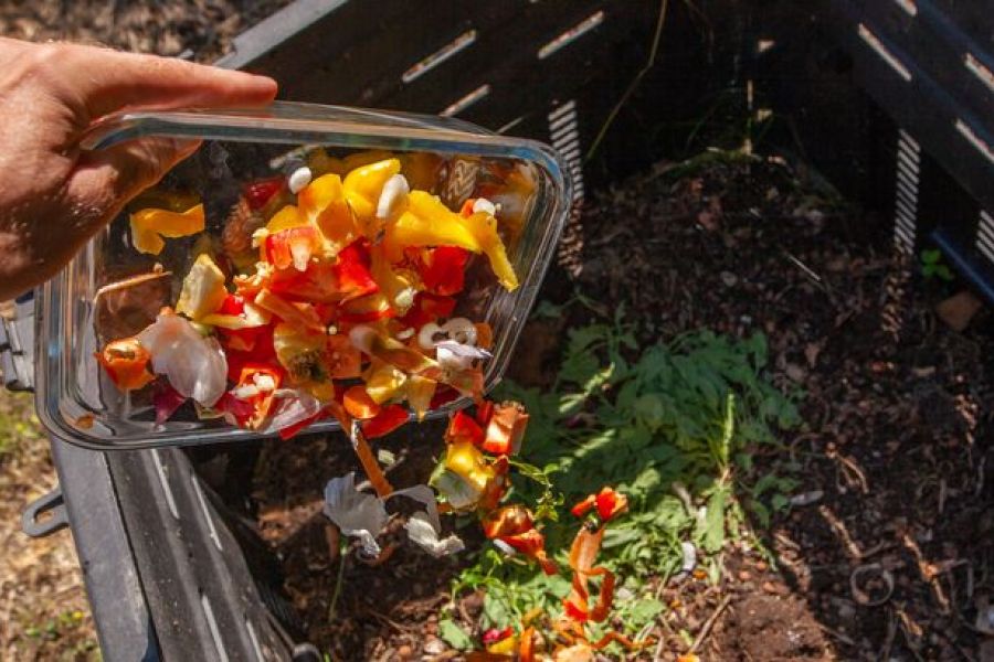 Tous au compost ! : 30 % des déchets ménagers français peuvent être valorisés