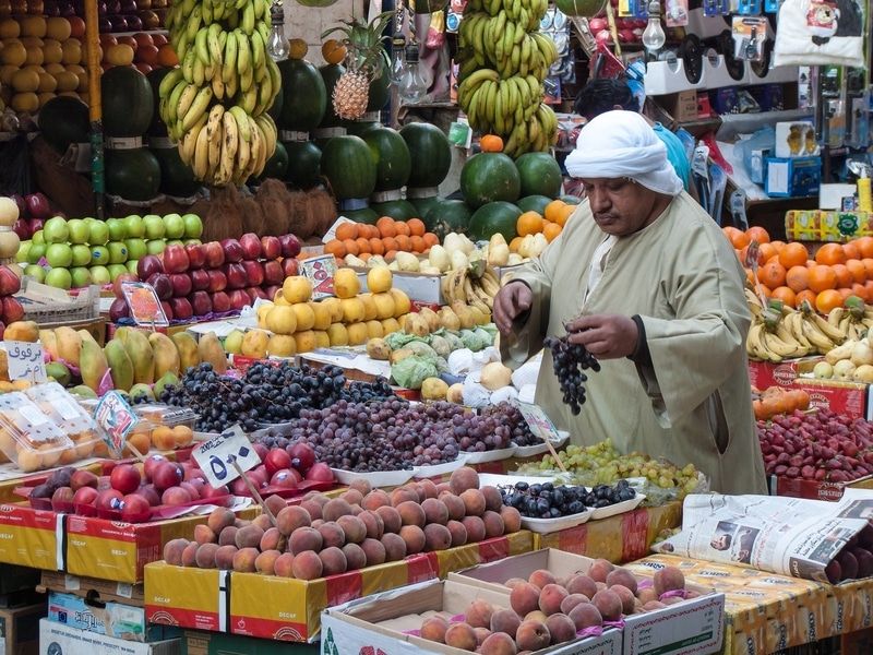 L'Égypte prévoit d'exporter 2,3 millions de tonnes d'agrumes