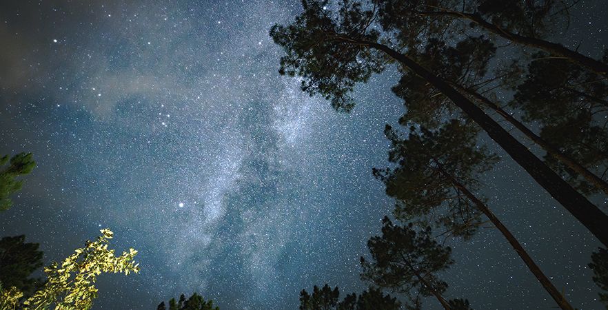 Le parc des Landes de Gascogne devient une « Réserve Internationale de ciel étoilé »