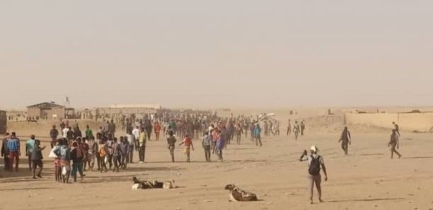 Algérie : Près de 5000 migrants refoulés vers le Niger depuis début avril, une situation alarmante