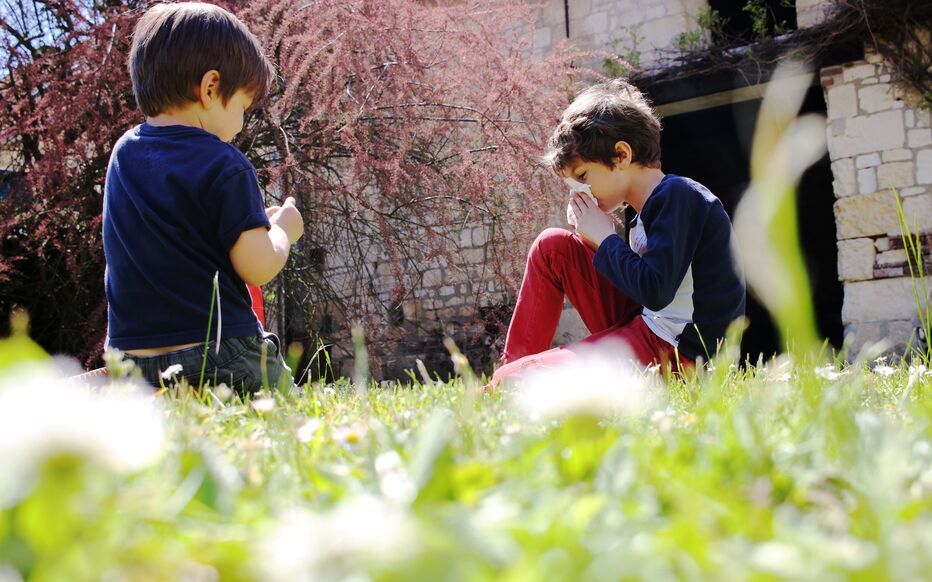 Allergies aux Pollens : Alerte Rouge Déclenchée dans 30 Départements - Risques et Prévention