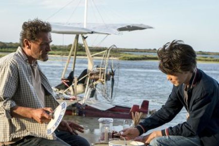 Cinéma Français : La Production de "Donne-Moi des Ailes" Accusée de Destruction de Nids de Flamants Roses, Quel Impact sur l'Industrie ?