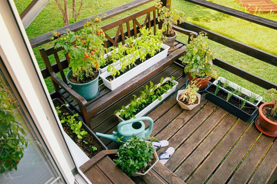 Jardinage urbain : comment créer son potager sur un balcon en 5 étapes faciles