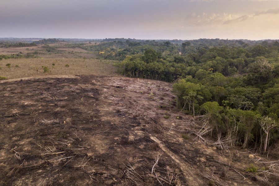 L'urgence climatique et la dégradation systémique du bassin amazonien en 2026