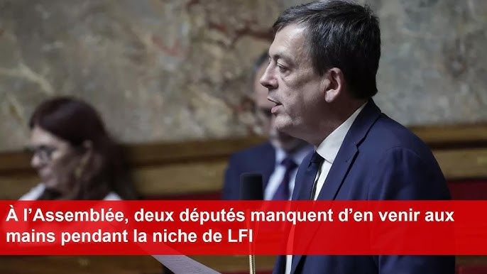 À l’Assemblée, deux députés manquent d’en venir aux mains pendant la niche de LFI