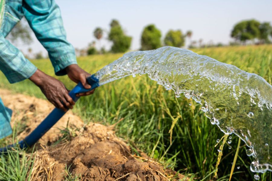 LA SÉCURITÉ ALIMENTAIRE MONDIALE ET L'AGRICULTURE DE PRÉCISION
