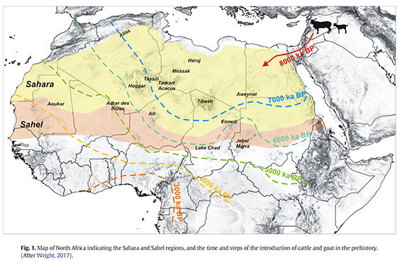 L’Embrasement du Croissant Fertile : Frappes sur les Ambassades et Réalité du Terrain