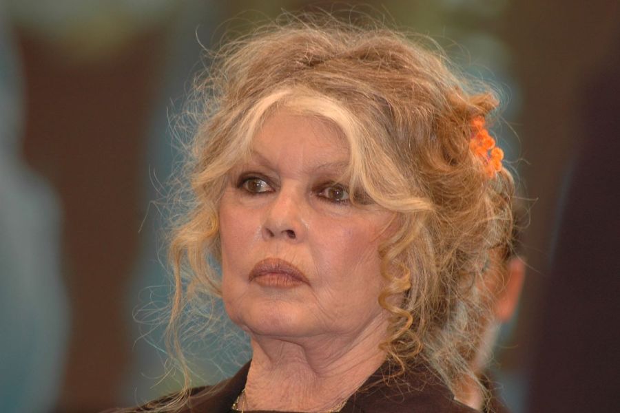 Brigitte Bardot, 90 ans : interview-choc sur le cinéma français et le Festival de Cannes