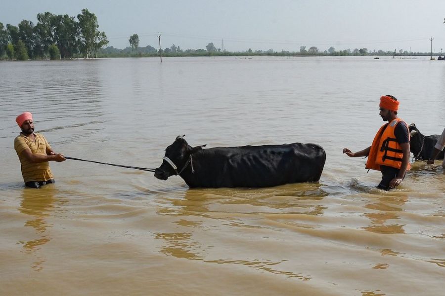 Climat et secours d'urgence en Asie centrale : la mobilisation internationale face aux inondations majeures