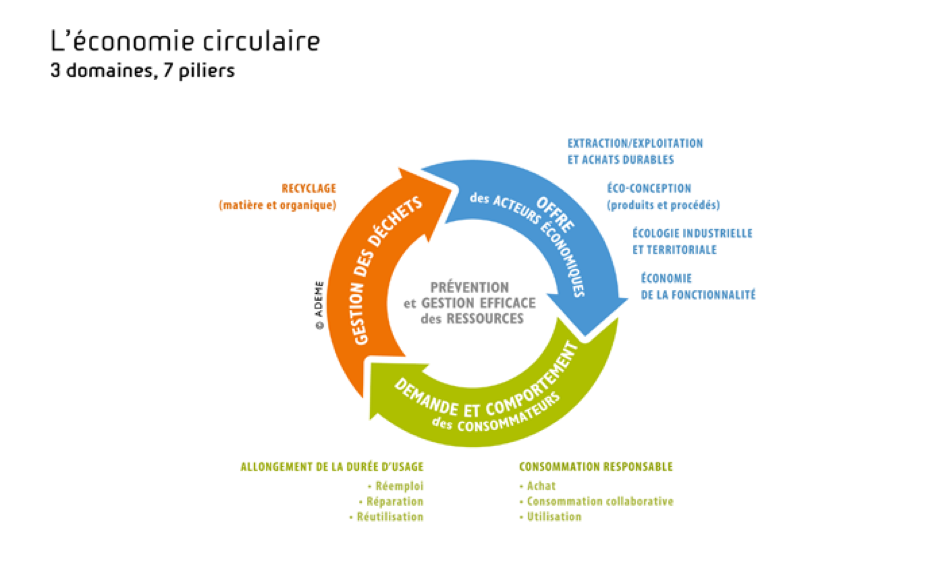 L'essor de l'économie circulaire : Une réponse aux défis environnementaux actuels ?