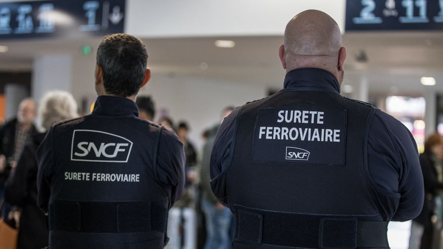 Le Conseil constitutionnel censure partiellement la loi sur la sécurité dans les transports