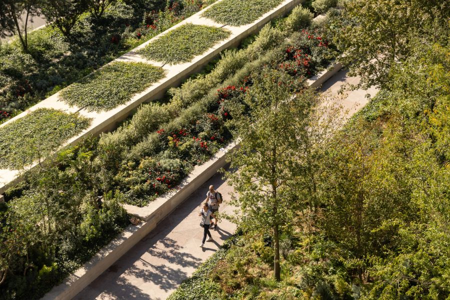 GRAND DOSSIER ENVIRONNEMENT : PARIS "VILLE-FORÊT", LE BILAN UN AN APRÈS LA GRANDE MÉTAMORPHOSE