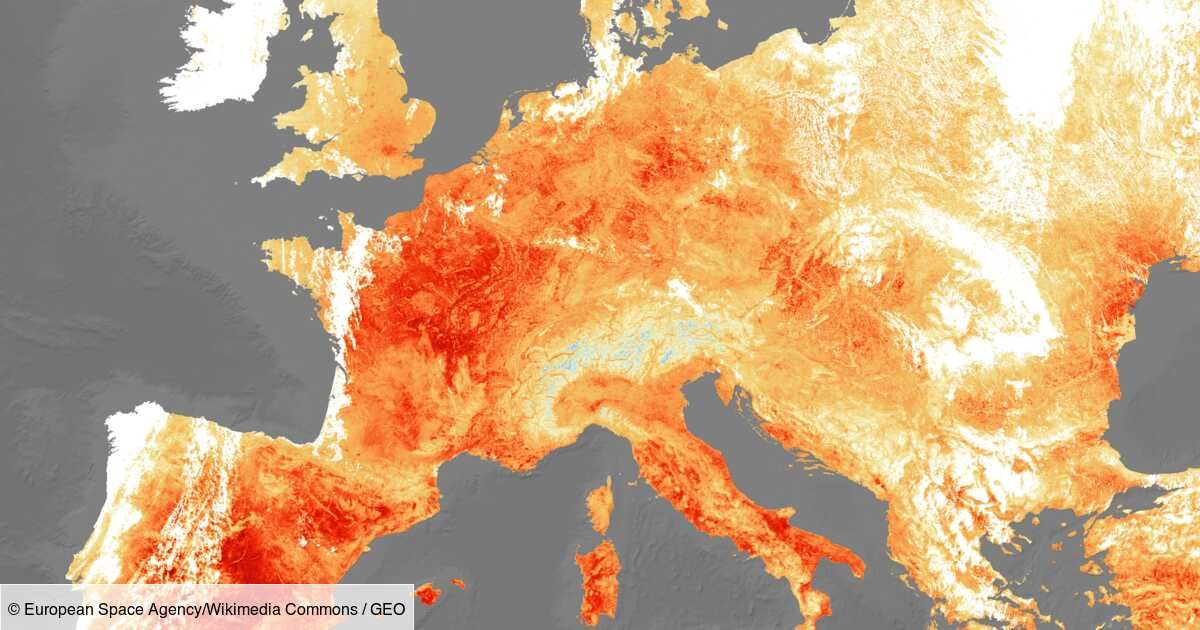 OMONDO ENVIRONNEMENT - Canicule record en Europe : le changement climatique s'accélère