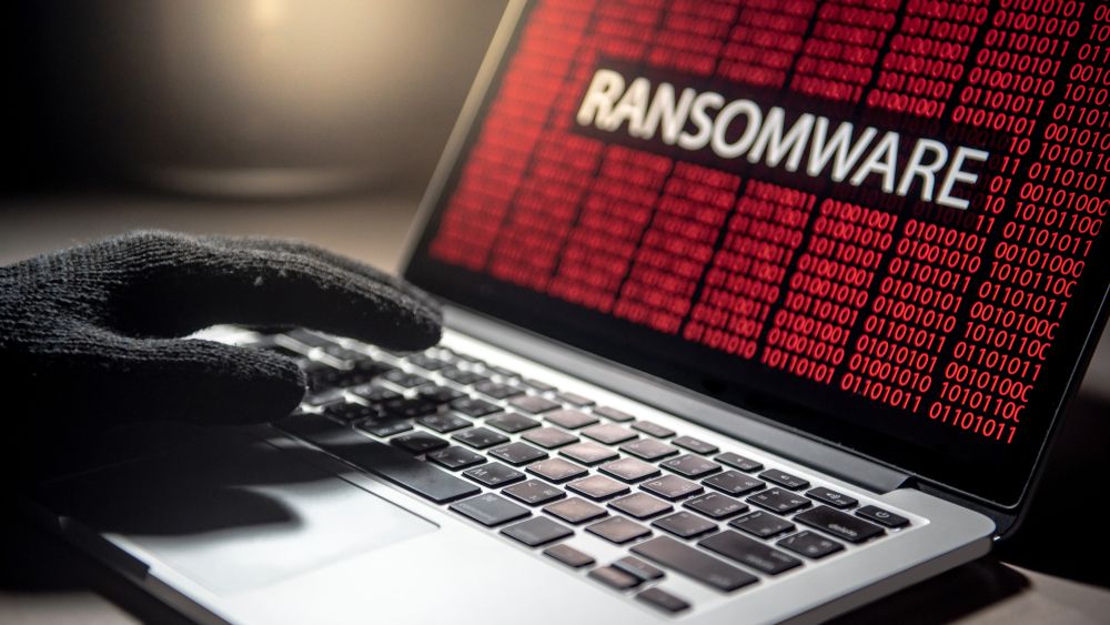 Sécurité Numérique : 2,5 Millions de Comptes Volés par le Ransomware 'Phœnix' Vise les TPE/PME Européennes