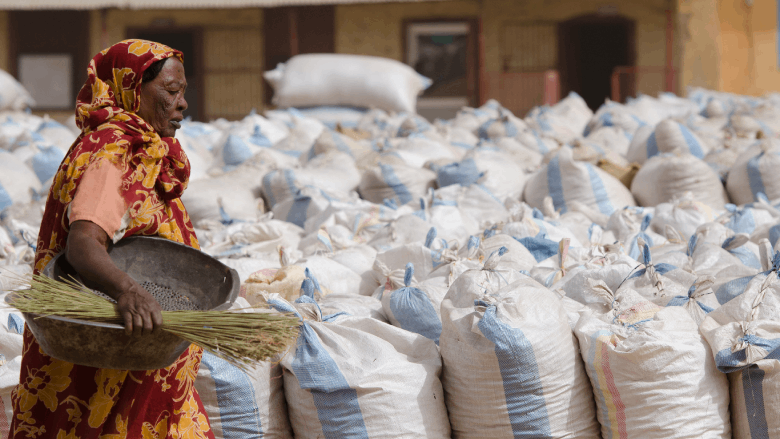 Sécurité alimentaire mondiale : Les nouvelles stratégies des superpuissances face aux crises climatiques répétées