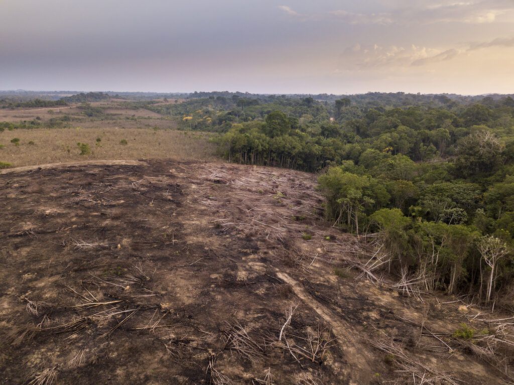 L'urgence climatique et la dégradation systémique du bassin amazonien en 2026
