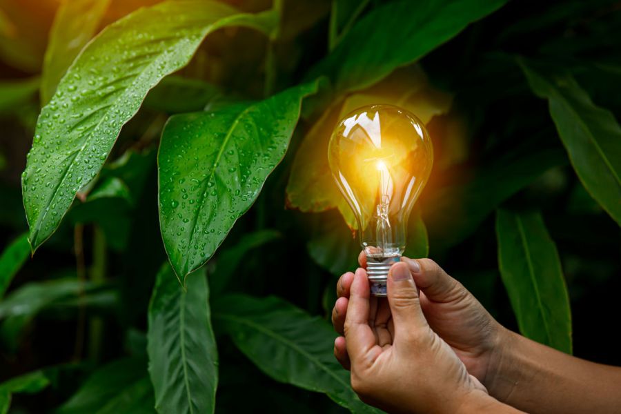 « Politiques climatiques et financement en 2025 : catalyseurs et obstacles de la transition énergétique mondiale »