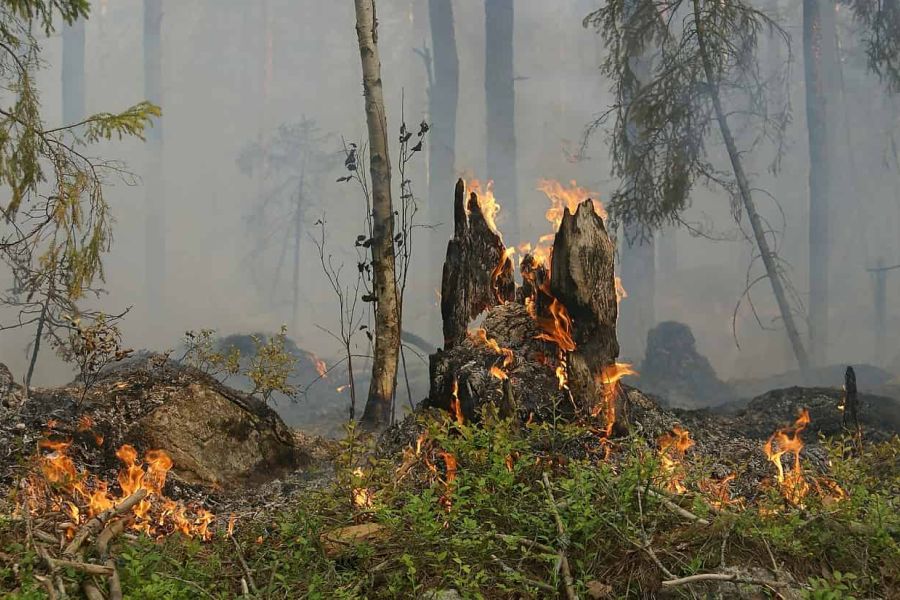 Catastrophe climatique : La Terre subit une série noire de désastres naturels