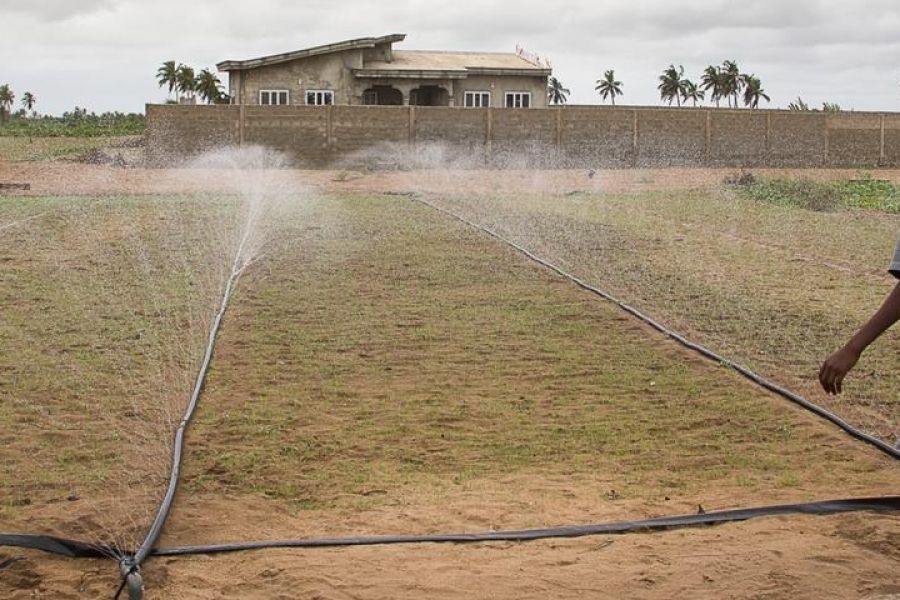 Stratégie nationale d'adaptation agricole : face aux sécheresses, le modèle des bassins d'irrigation connectés