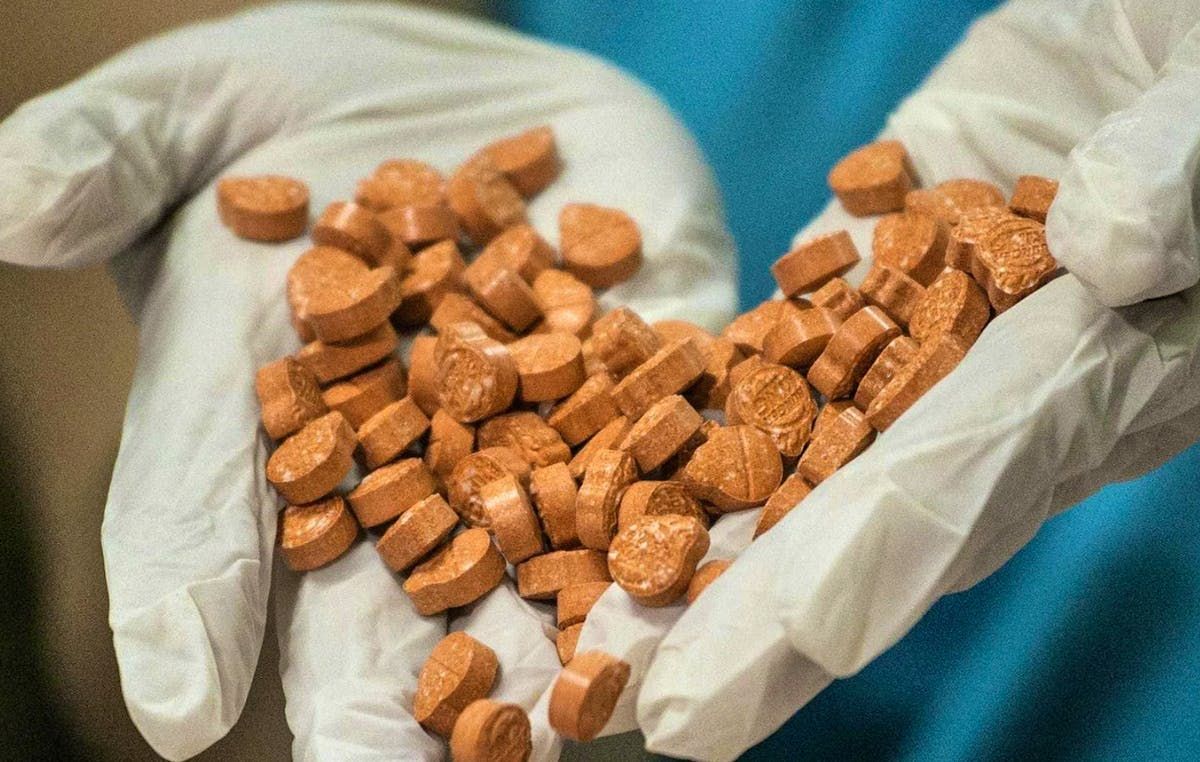 Pays-Bas : un gnome en MDMA découvert lors d'une saisie de drogue, la police ironise