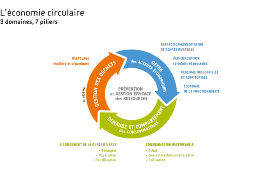 L'essor de l'économie circulaire : Une réponse aux défis environnementaux actuels ?