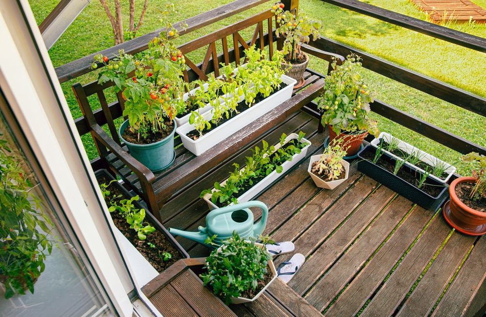 Jardinage urbain : comment créer son potager sur un balcon en 5 étapes faciles