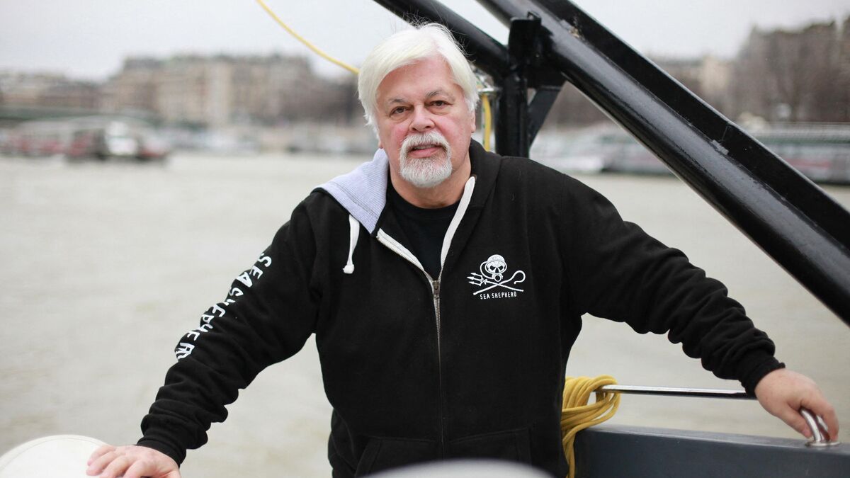 Paul Watson retourne en France après cinq mois de détention au Danemark : portrait d’un militant écologiste controversé