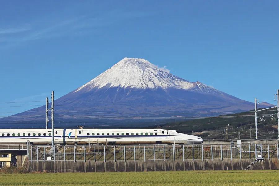 Climat Global : L'invasion des espèces non-natives et l'embrasement record du Chili en 2026