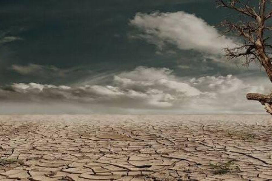 Rapport mondial sur le climat mai 2026 : Les métropoles mondiales face à l'urgence de la montée des eaux et des canicules précoces