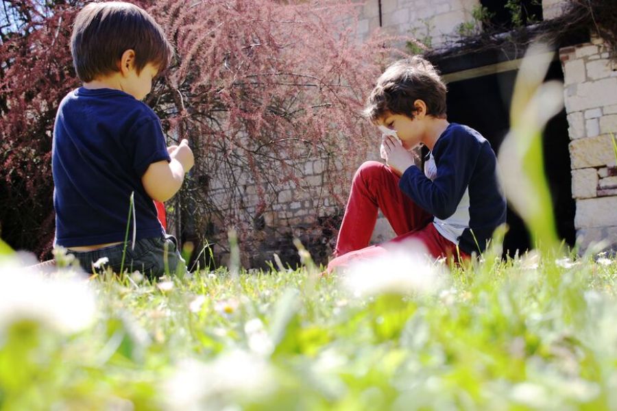 Allergies aux Pollens : Alerte Rouge Déclenchée dans 30 Départements - Risques et Prévention