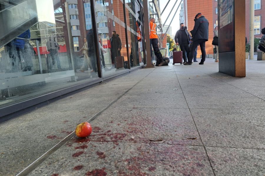 Essonne : un jeune homme battu à mort à la gare d'Évry-Courcouronnes provoque l'indignation locale